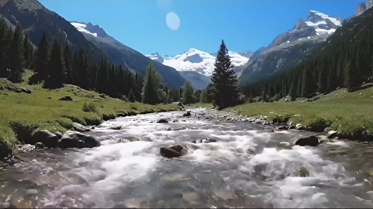 Forest River Ambience – Calming Water Flow & Gentle Wind for Study & Work