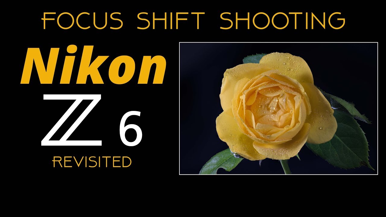 Nikon Z6 - Focus Shift Shooting for Macro Revisited