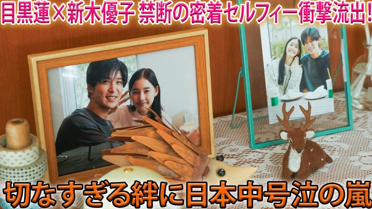 目黒蓮と新木優子の“密着自撮り”が衝撃流出か、映画『ほどなくお別れです』が映し出すあまりに切なすぎる真実と、日本中を号泣の渦に叩き込む二人のスクリーン越しにしか表現できない本物の絆の深さ-八五TV