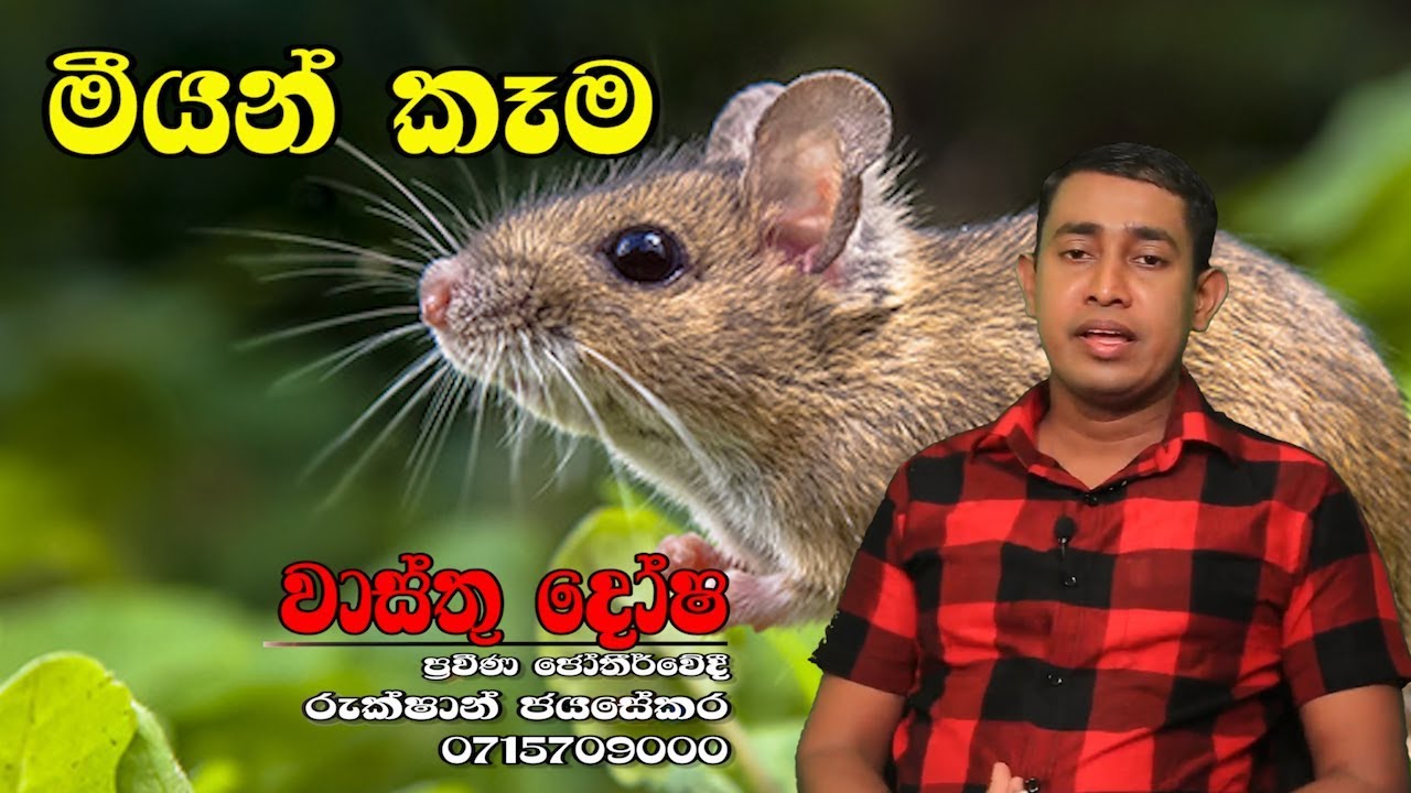 Mee Karadare  | Rukshan Jayasekara | palapala.