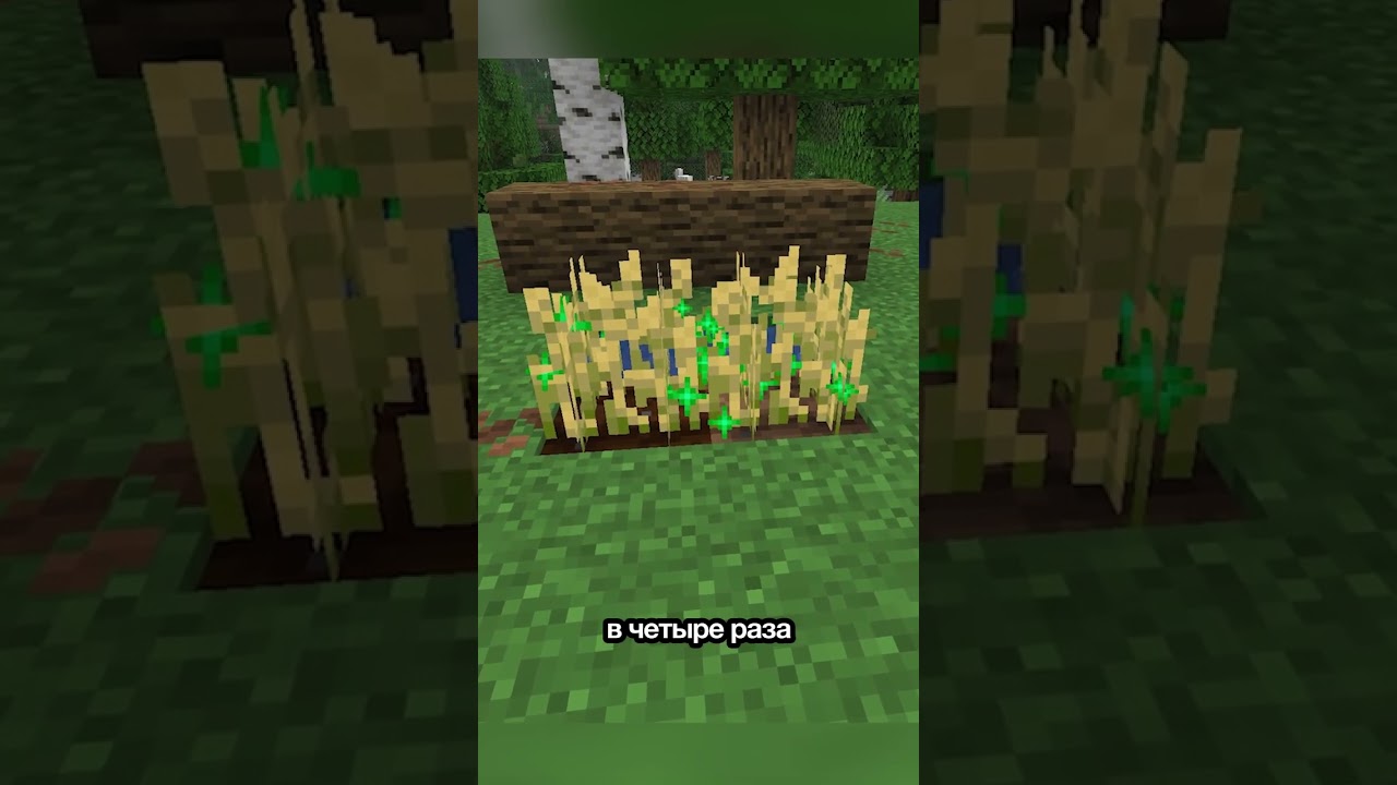 Быстрая ферма!  #minecraft #майнкрафт