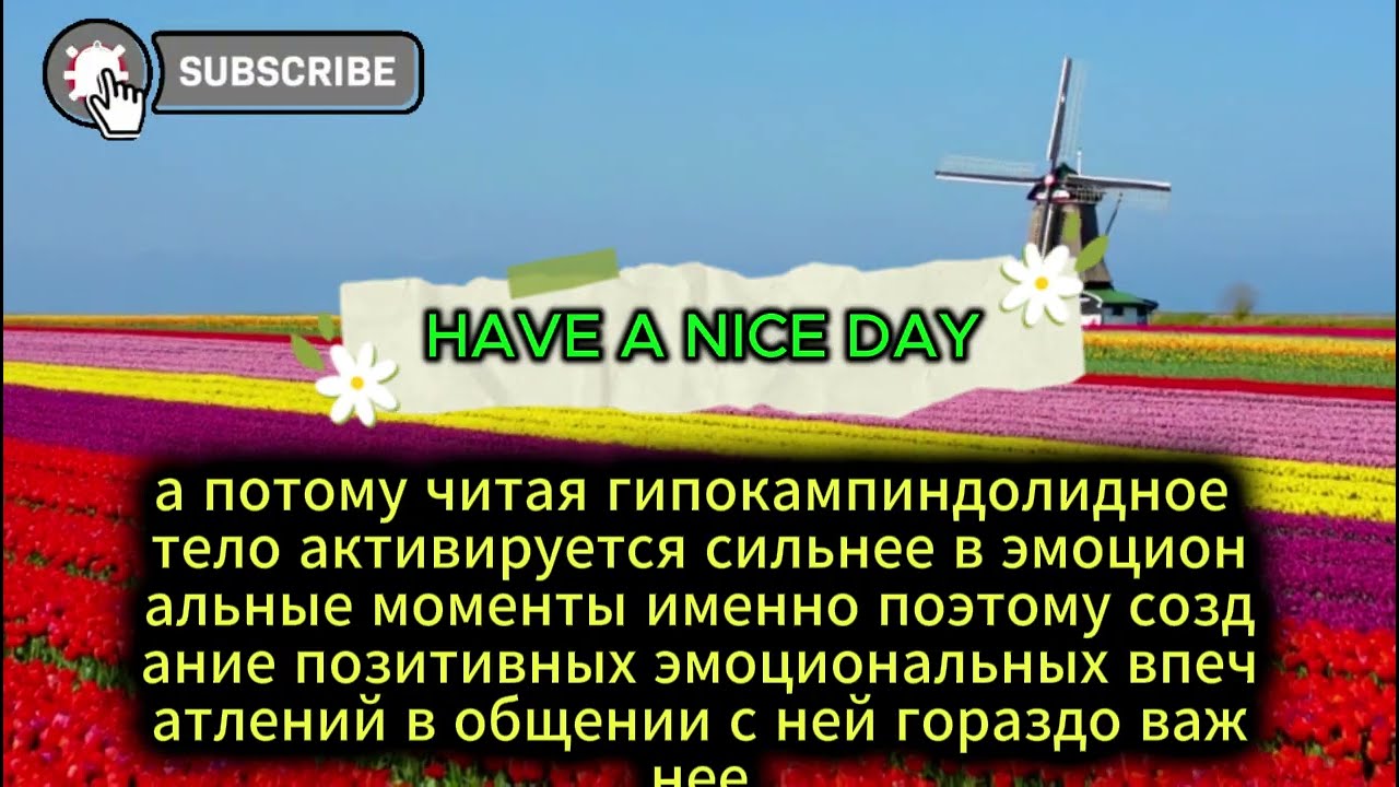 10 шокирующих психологических фактов о женщинах, которые действительно работают | Женская психология