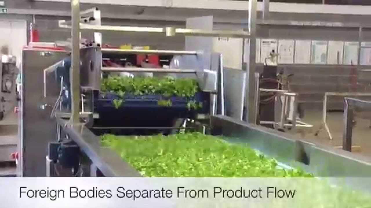 Foreign Body Removal Conveyor   Ambit Projects