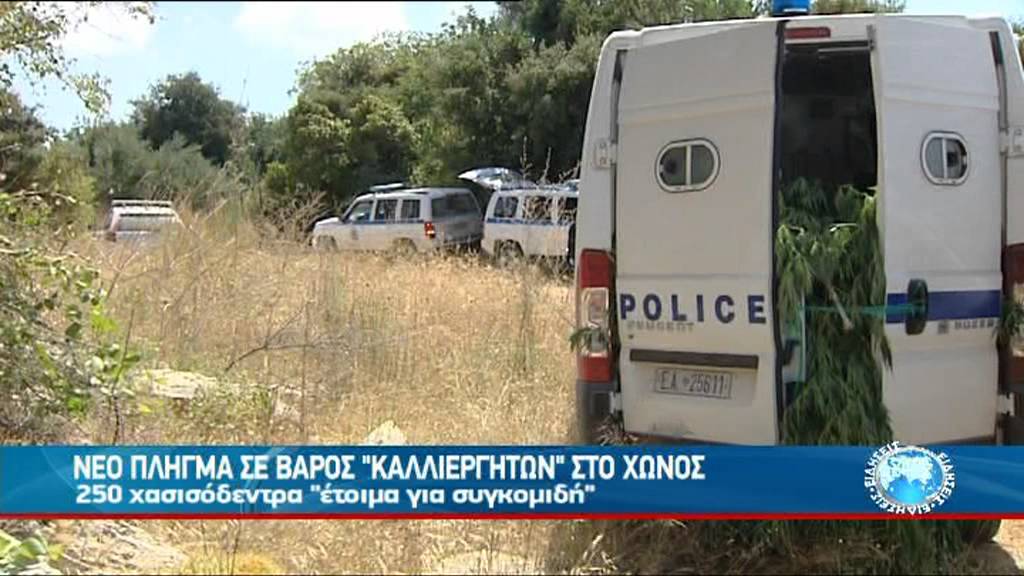 ΜΕ ΔΟΡΥΦΟΡΟ ΕΝΤΟΠΙΣΑΝ ΤΗΝ ΧΑΣΙΣΟΦΥΤΕΙΑ