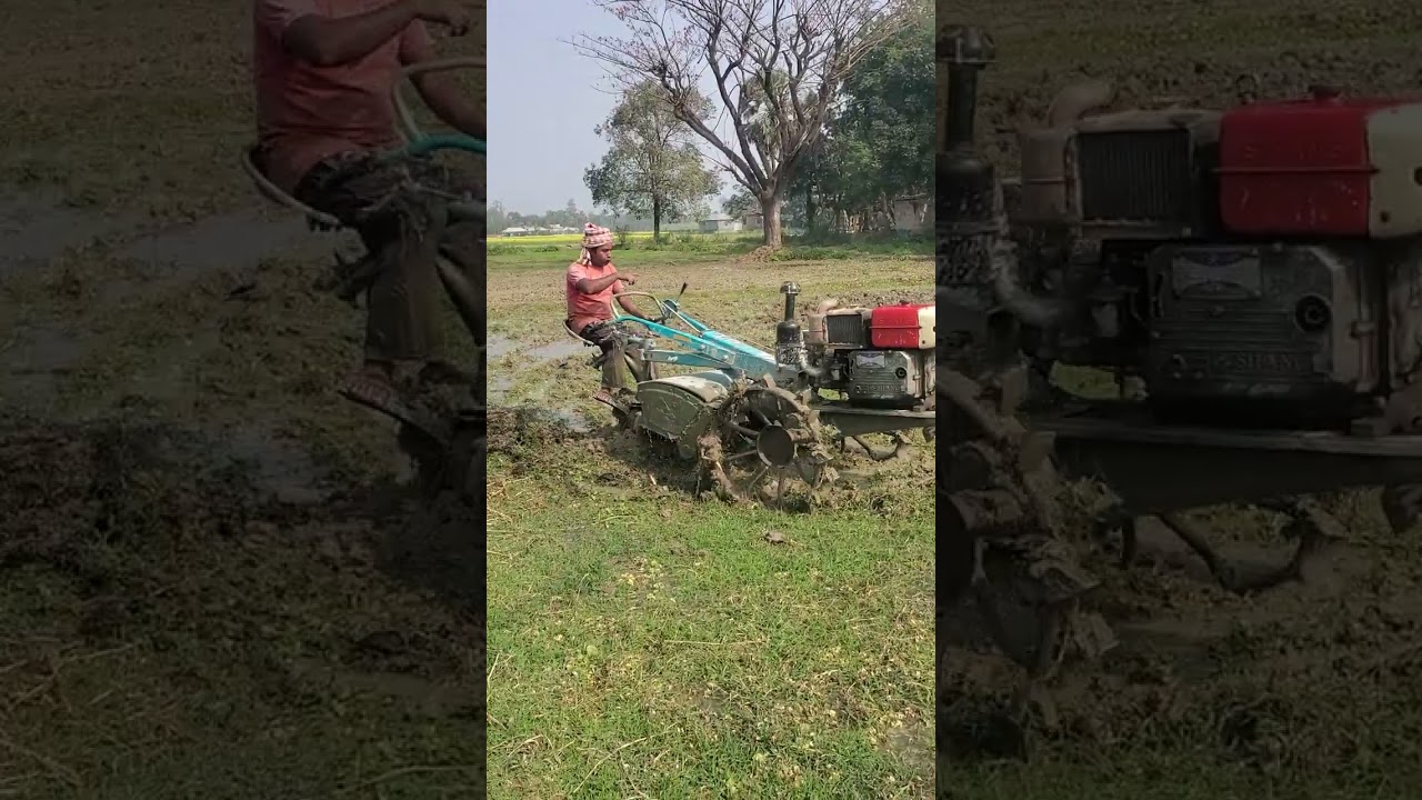আলহামদুলিল্লাহ ধান লাগানোর জন্য জমি চাষ দেওয়া হচ্ছে