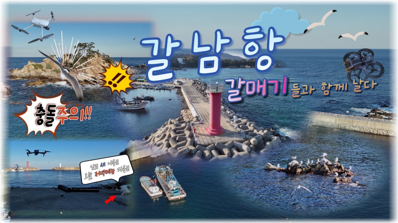장호항 옆에 갈남항 알아유? / 갈매기들 사이로 비행 / 갈매기와 충돌할뻔;; / 바다는 역시 겨울바다!! / FPV / AVATA2 / AIR3