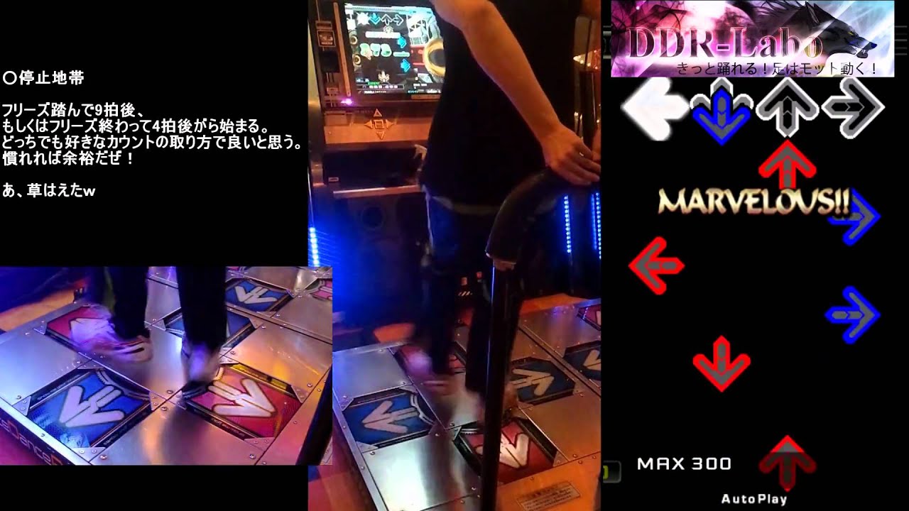MAX300 [EXPERT] 解説　(DDR-Labo)