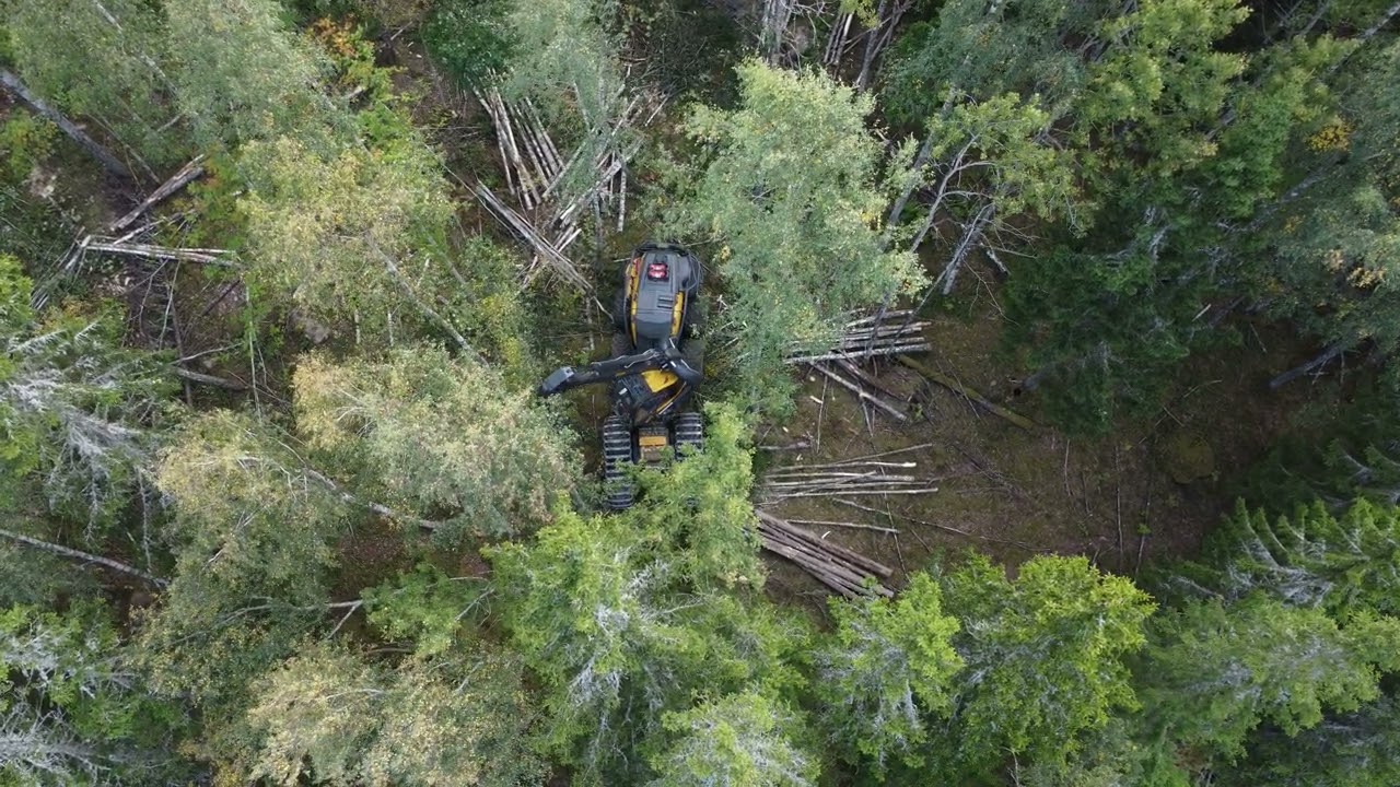 NR.5 . Bodafors Skogstjänst AB.  PONSSE  SCORPION Gallrar löv och Blandskog .