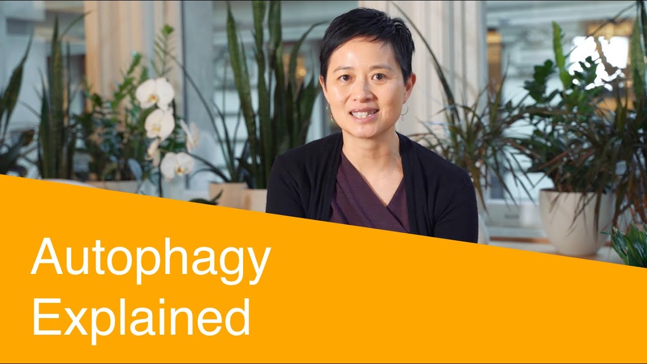 What is Autophagy? Dr. Julie Taw Explains the Key to Healthy Aging