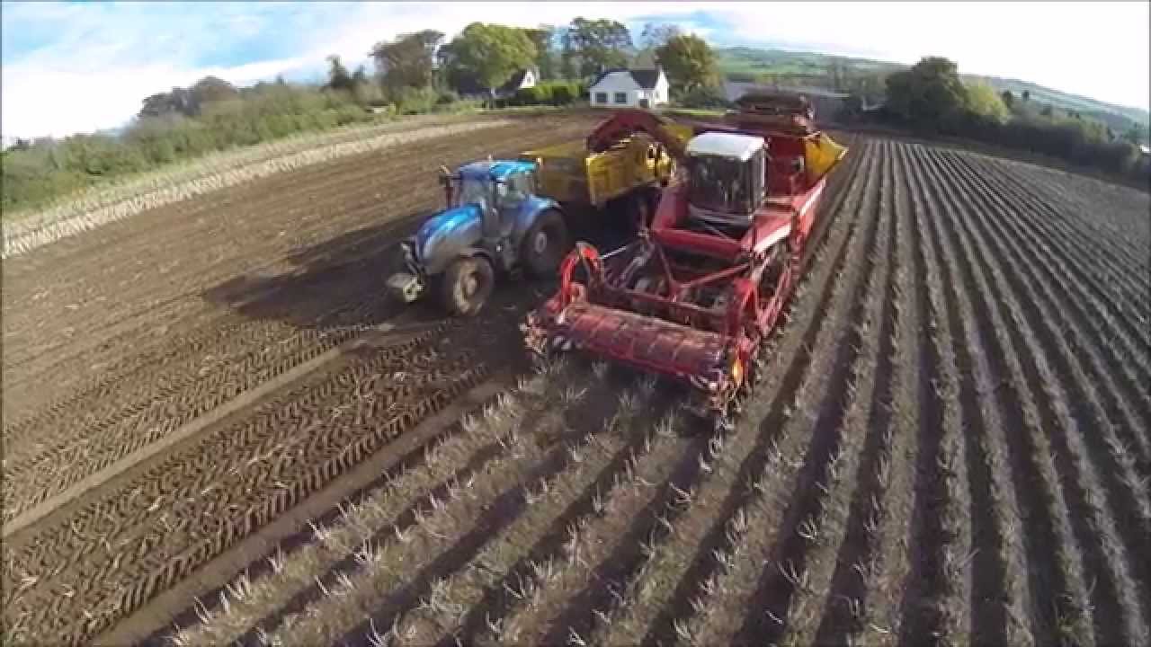 4 row Grimme Tectron 415 potato harvester