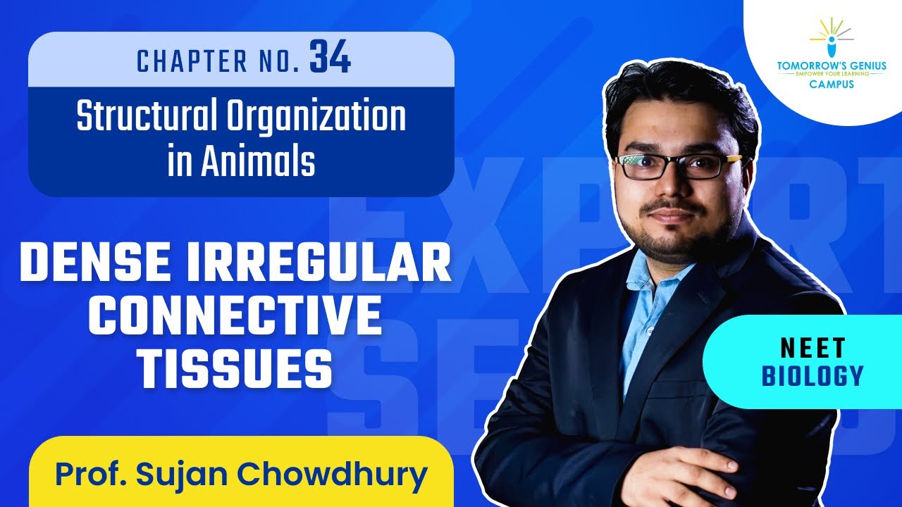 Dense Irregular Connective Tissues | Structural Organization in Animals | NEET | Biology - TG Campus