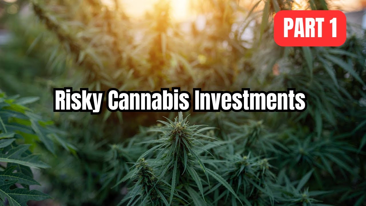The Hidden Risk of Slow Legalization in Cannabis Investing | Part 1