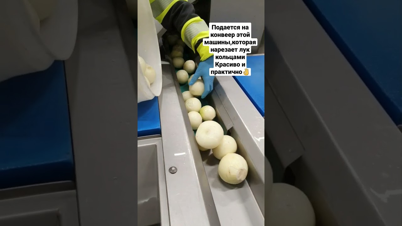 Работа на фабрике в Норвегии#norway#work#factory#shorts#reels