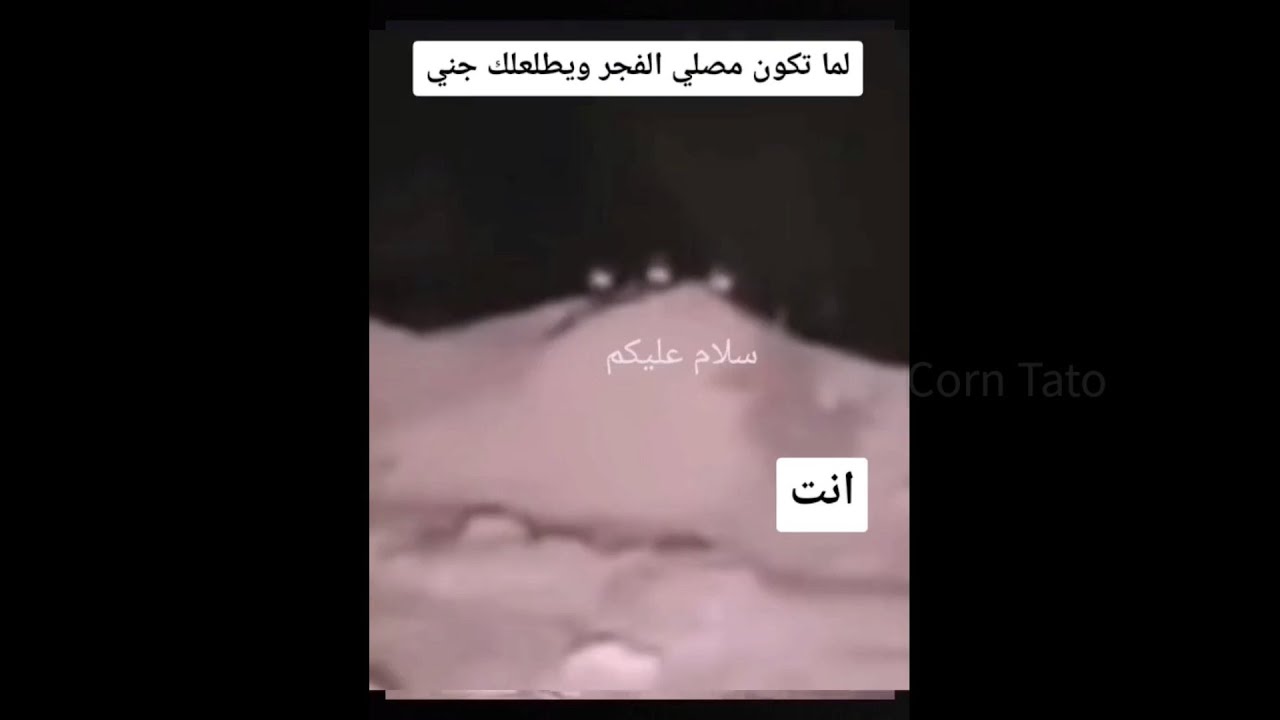 تجميعة ميمز|لما تكون مصلي الفجر ويطلعك جني