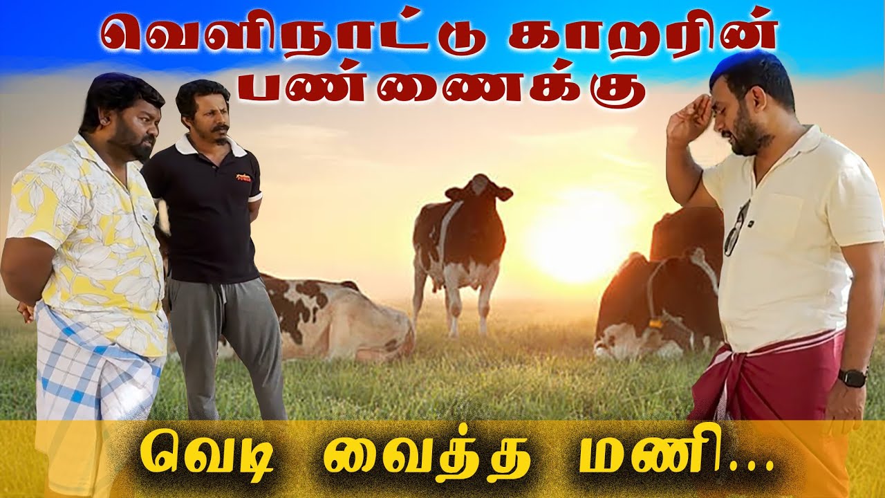 Velinattu Karar Pannaiyil Velai Kettu Vantha Mani l Srilankan Tamil Version | Sattapadi Sambavam