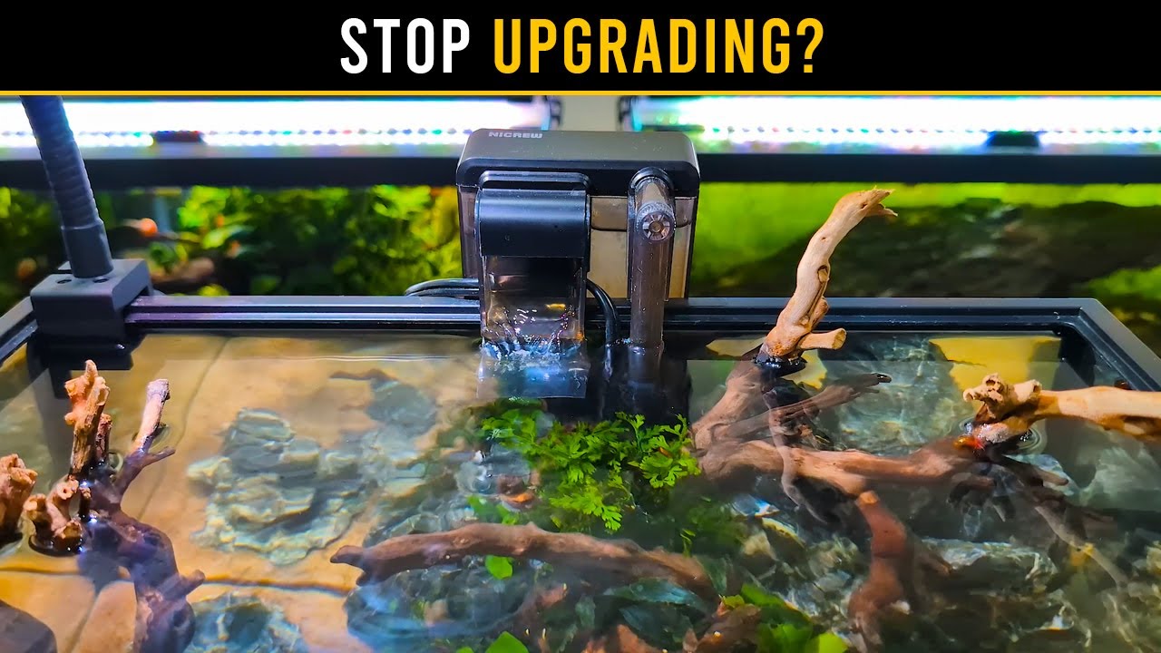 When Aquarium Upgrades Stop Helping & Start HURTING!