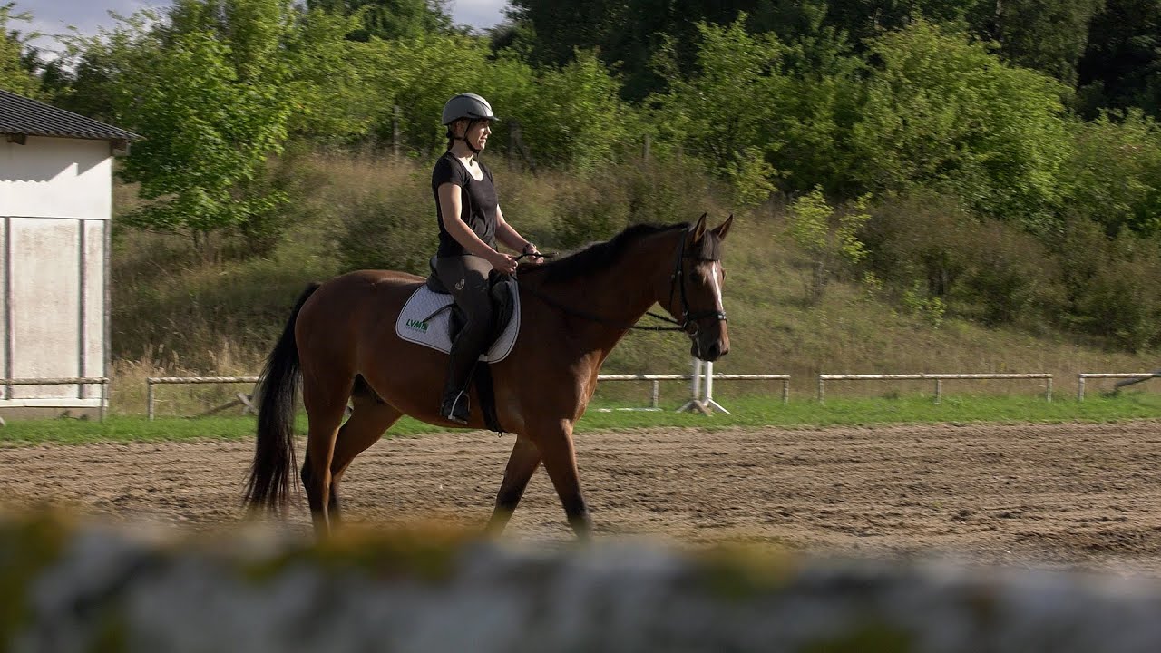 Zu Besuch beim Reitsportverein "Vier Tore" Neubrandenburg