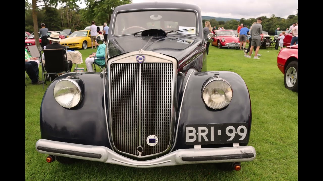 RIAC Picnic Marlay Park 9th August 2023