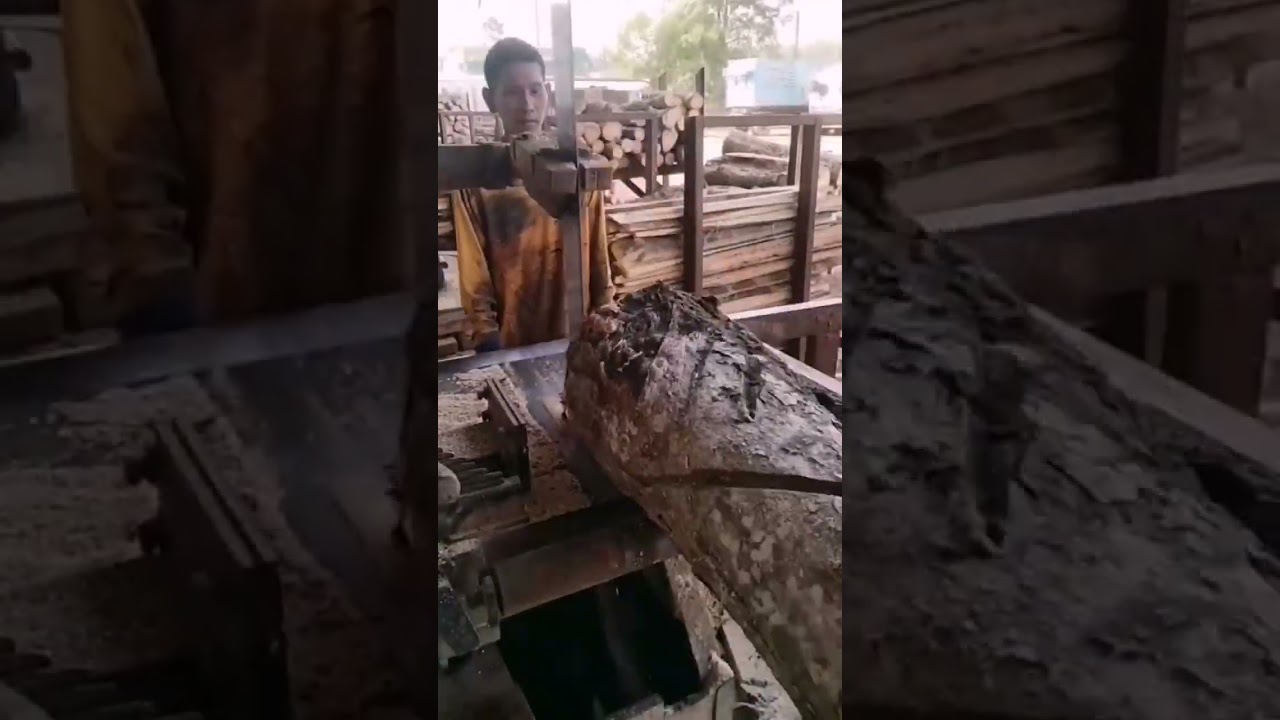 mesin potong kayu lapis tercepat 