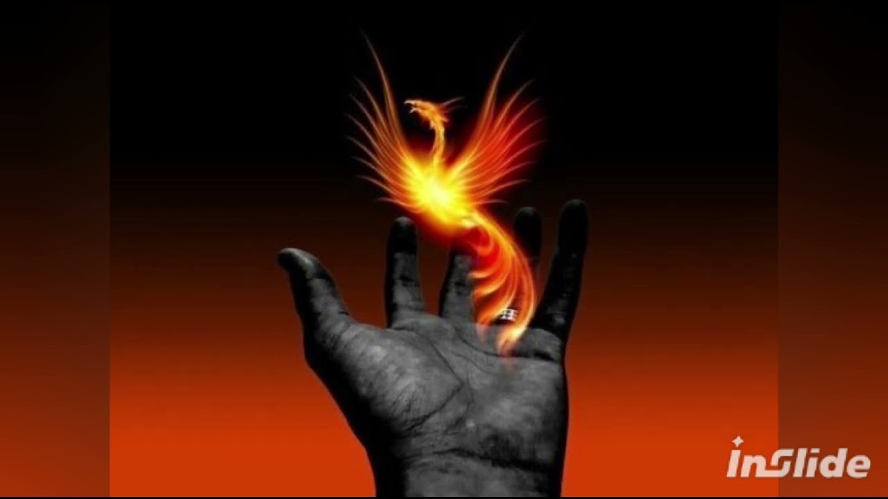 PEQUEÑO FENIX