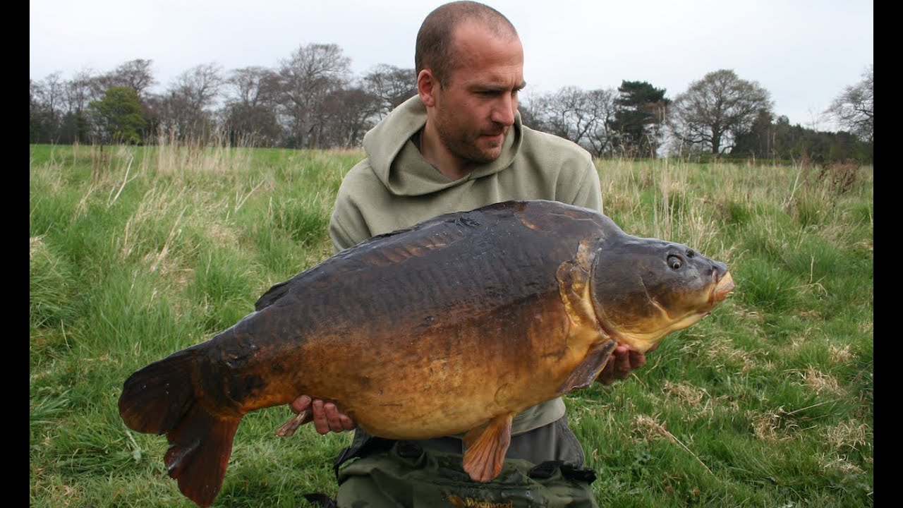 Yorkshire's finest CARP The Nostell Fish