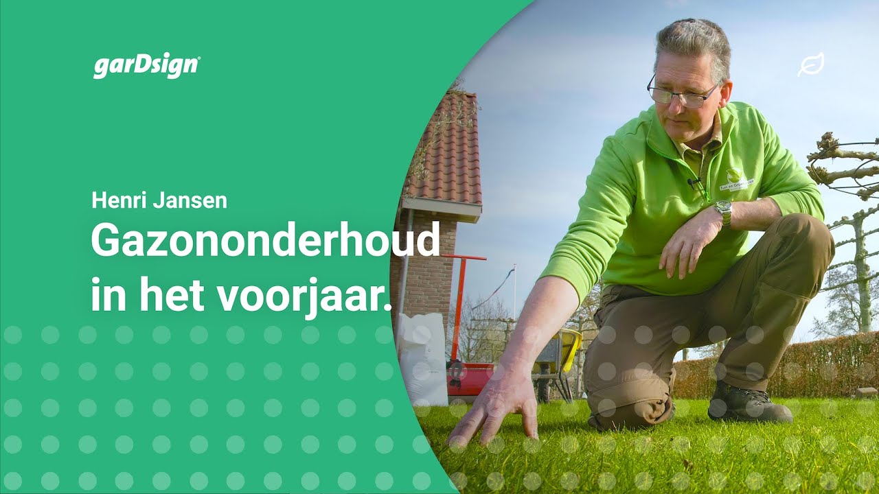 Gazononderhoud in het vroege voorjaar.