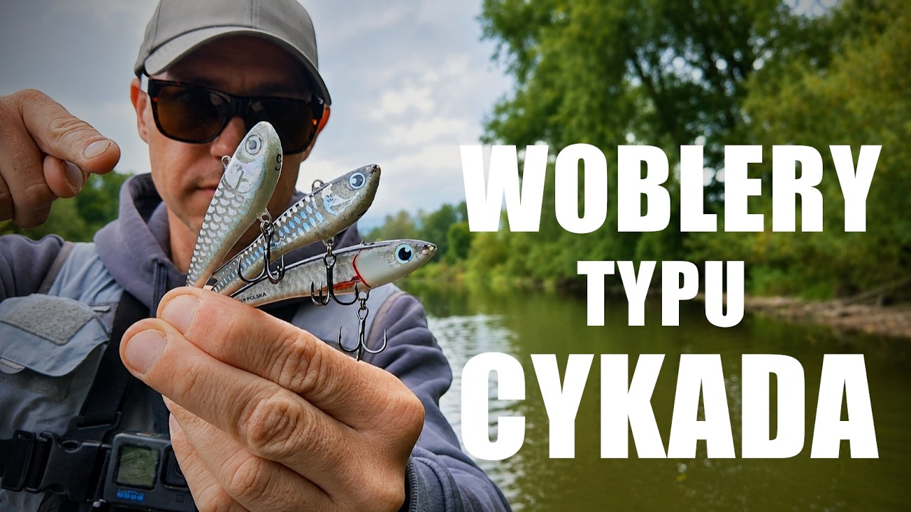 Woblery typu cykada &ndash; jak nimi łowić? | PORADNIK