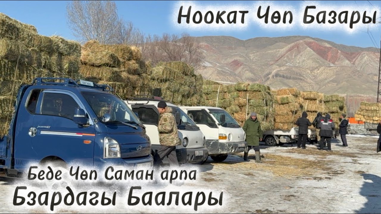 1 февраль  2026  Жыл