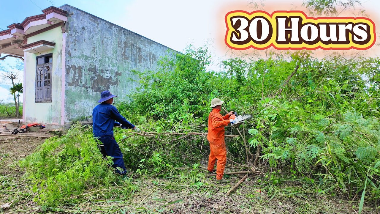 4 Days, 30 Hours, $500 To Revive A 5-Year-Old Abandoned House In 35 Minutes