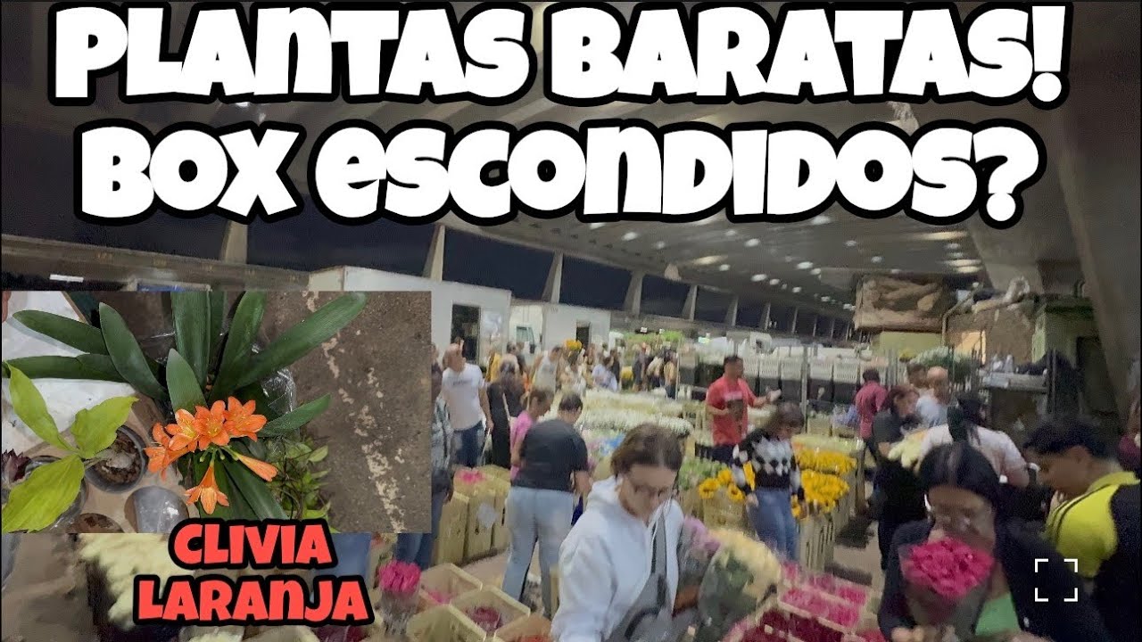 Promo&ccedil;&atilde;o na feira da Madrugada! 