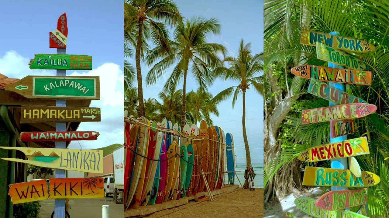 [FREE FOR PROFIT] Tropical Summer Type Beat - 