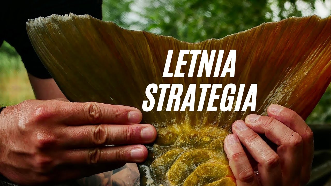 Jak Łowić Karpie Latem - Kilka Praktycznych Wskazówek