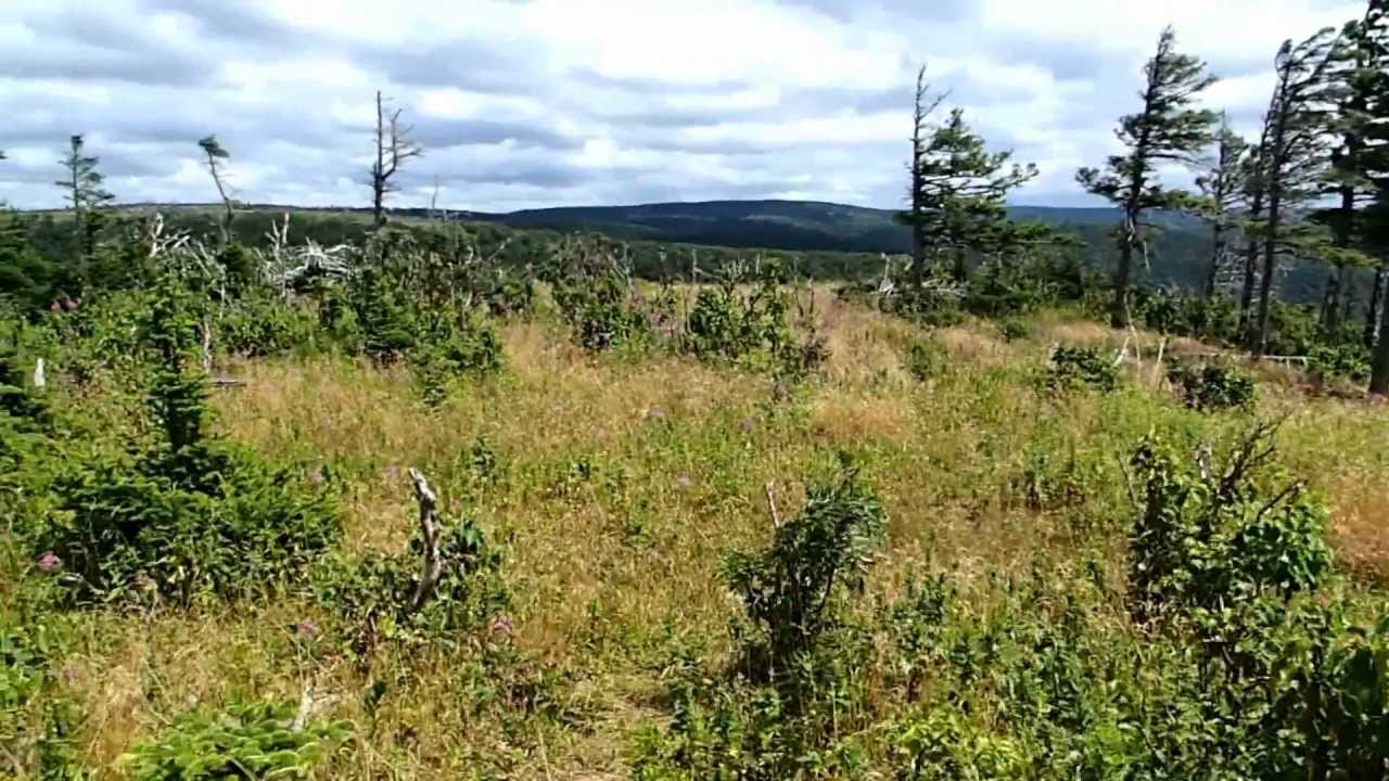 L'Acadie Trail Mountaintop View in Cape Breton Highlands National Park