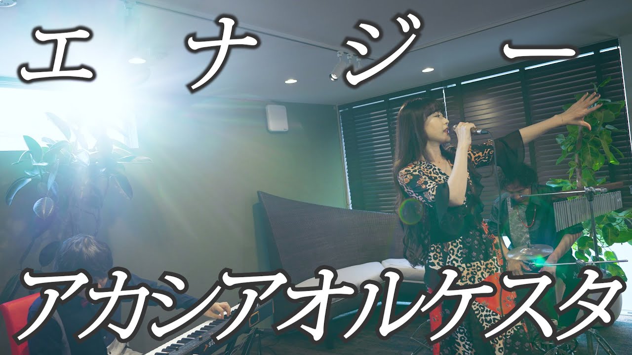 エナジー ／ アカシアオルケスタ