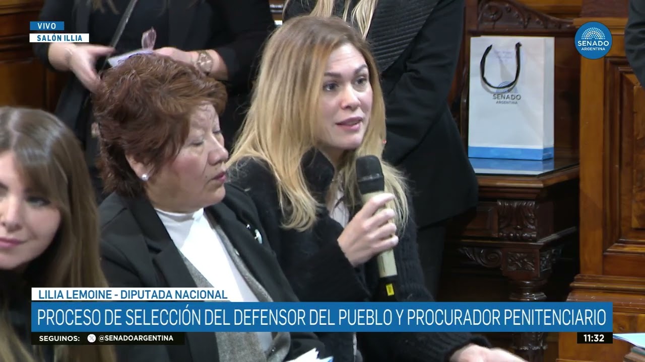 DIPUTADA LILIA LEMOINE - BICAMERAL DE LA DEFENSORÍA DEL PUEBLO 10-09-25