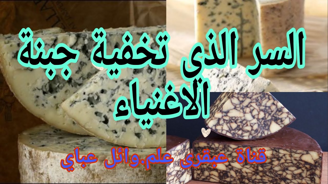 اسرار تخفيها جبنة ريكفورد (Blue cheese.الجبنة الزرقاء .الفرنسية جبنة الاغنياء)