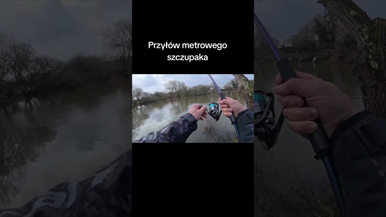 Przyłów metrowego szczupaka #pike #pikefishing #szczupak #favorite #favoritepoland #perch 