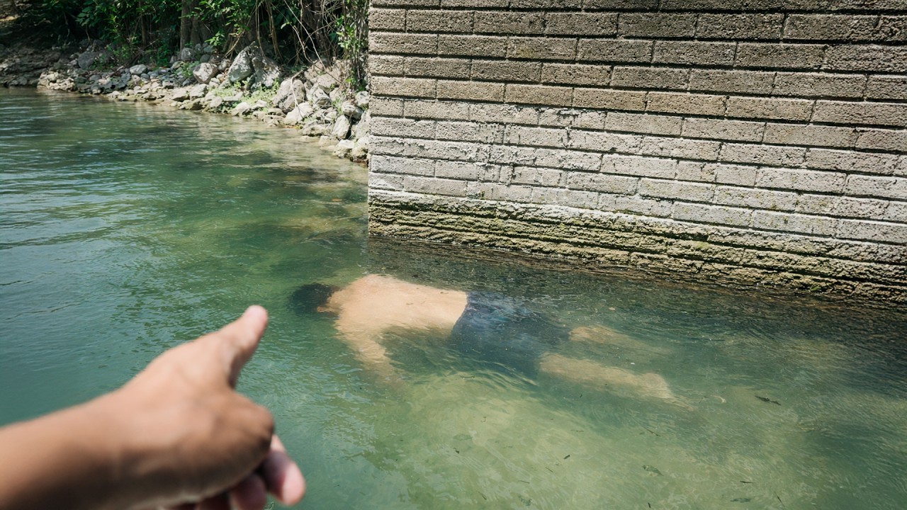Nadie pesca aquí… hasta que vimos lo que se escondía | Guapotes salvajes