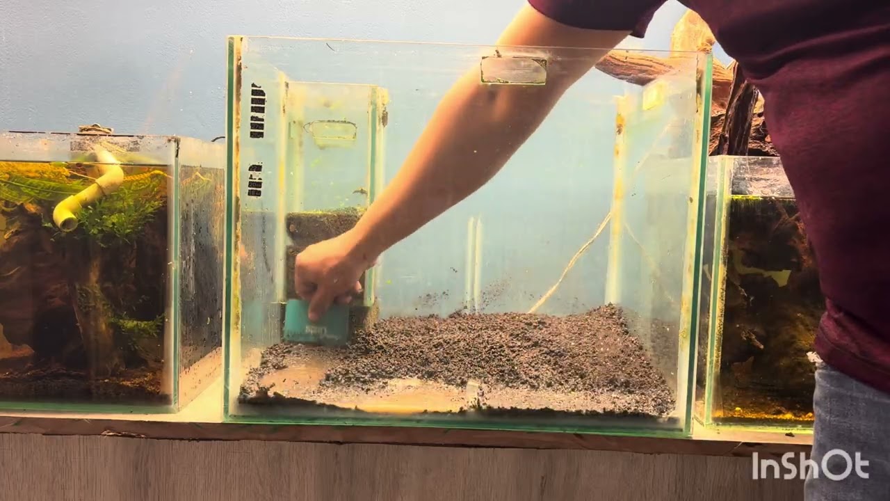 Acuario galería 5-6-7-8