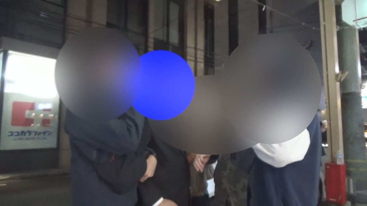 【逮捕の瞬間】カメラがとらえた違法な「客引き行為」 相次ぐ苦情　取り締まり強化 《新潟》