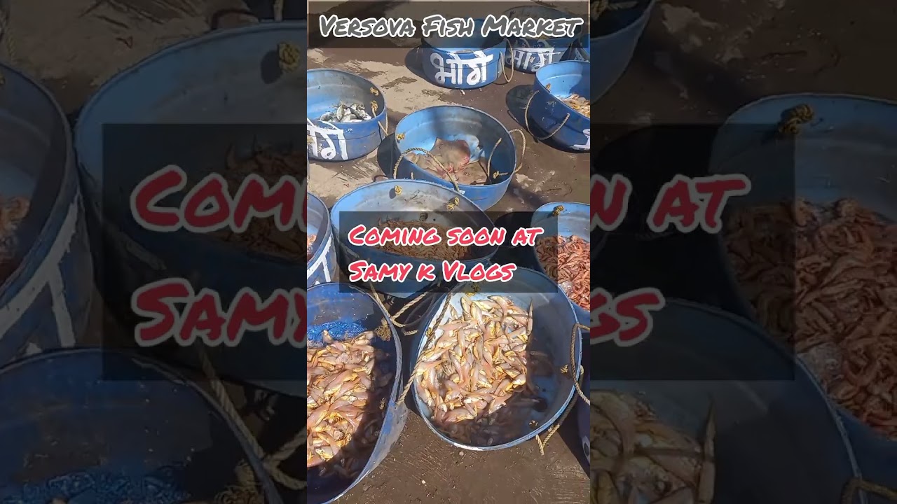Versova Fish Market |Coming soon | Subscribe Samy K vlogs | Versova Macchi Market Andheri Versova