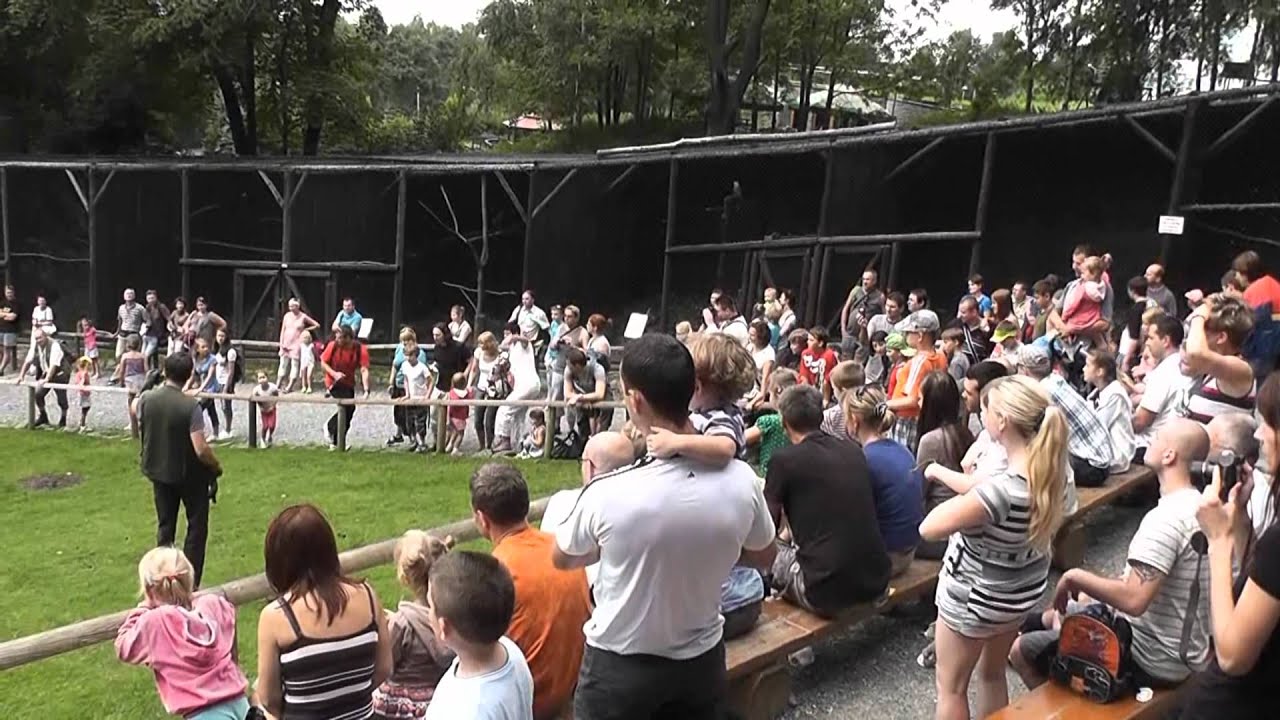 Park Leśnych Niespodzianek w Ustroniu