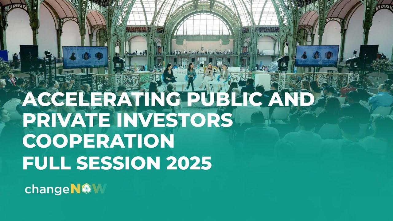 Accelerating Public and Private Investors Cooperation