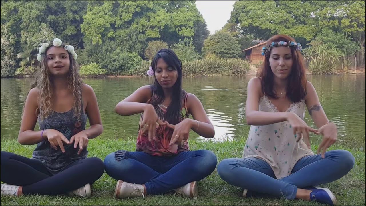 Música - Trevo (tradução em Libras)