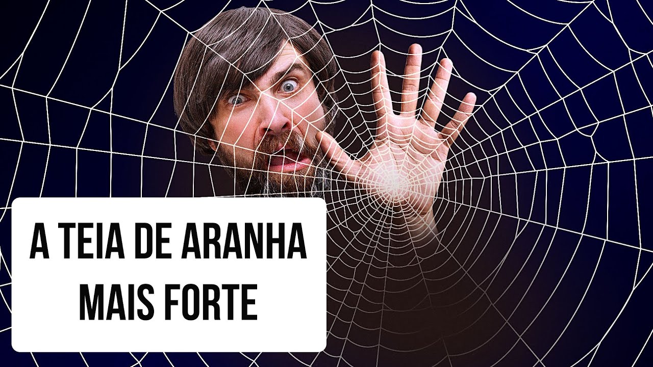 E Se Você Ficasse Preso na Maior Teia de Aranha do Mundo