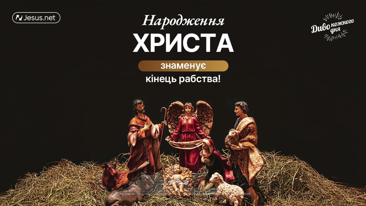 Сьогодні день святкування, що знаменує кінець рабства! | Диво кожного дня