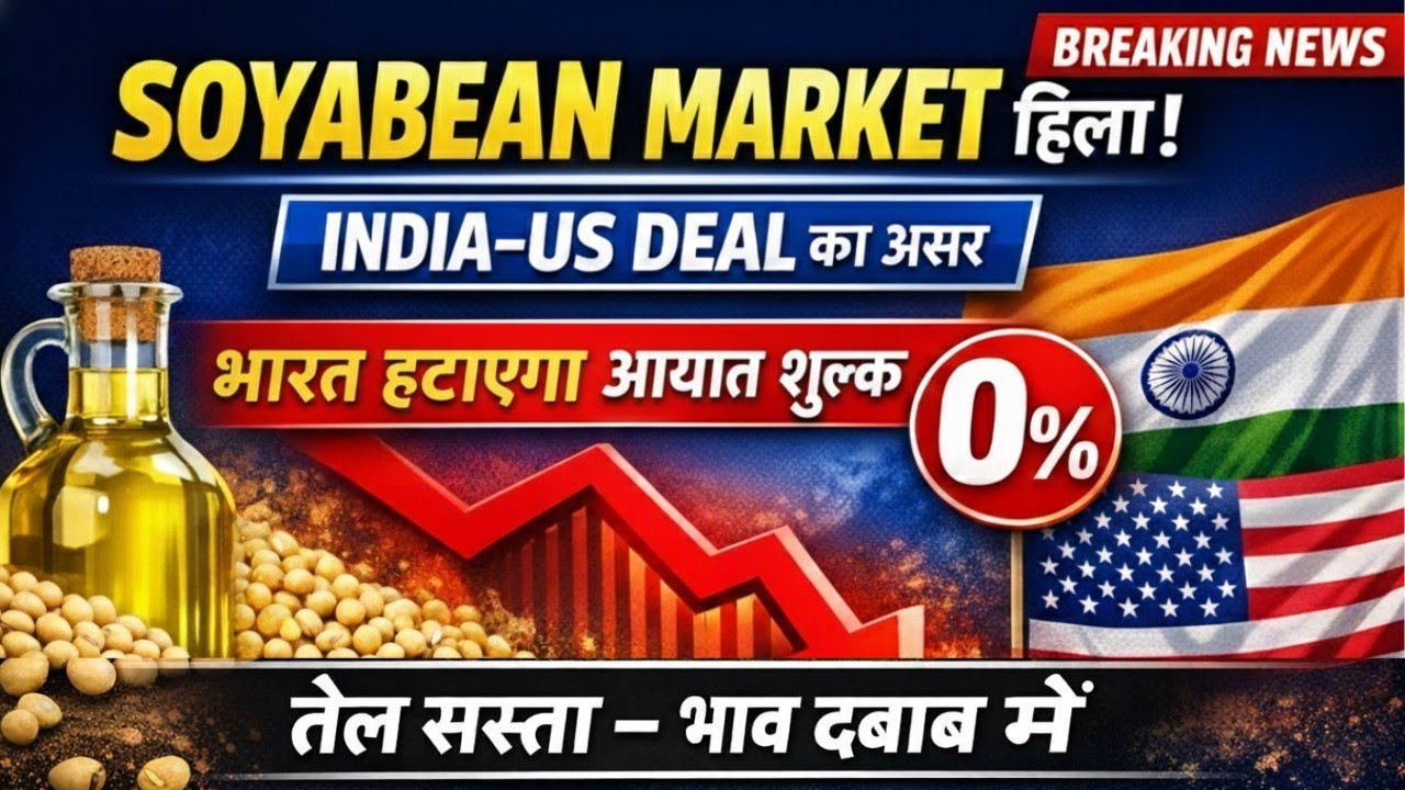 Soyabean Market हिला! India–US Deal से तेल भाव पर बड़ा असर – Import Duty 0% Update