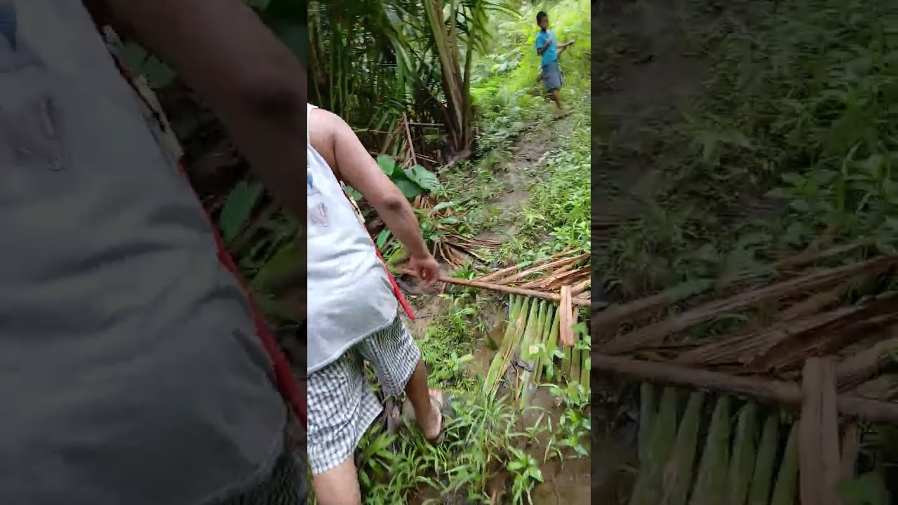 Part 1 Hanap Tambo ng kawayan