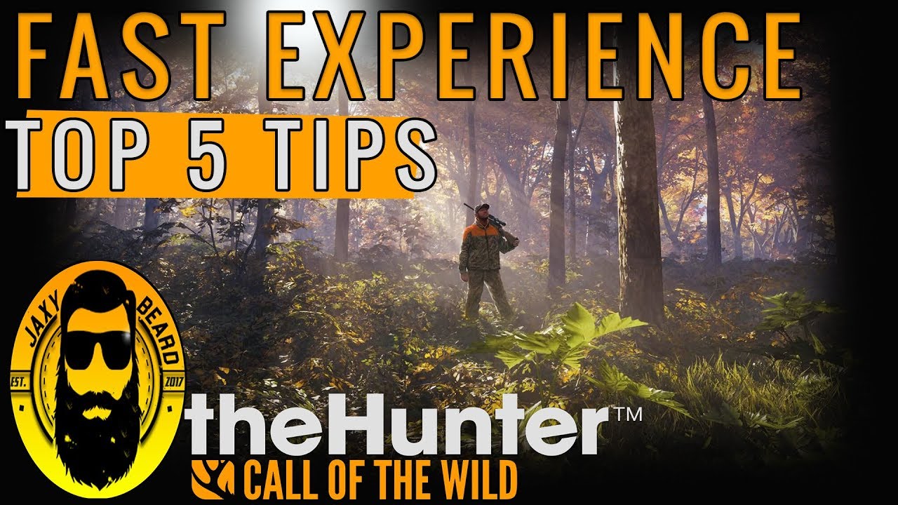 Top 5 Tips How to earn FAST EXPERIENCE in theHunter Call of the wild! Fastest way to Level