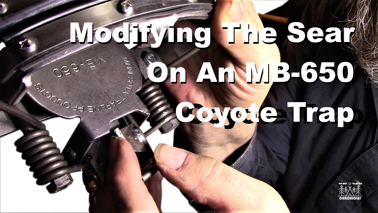 Modifying The Sear On An MB-650 Coyote Trap